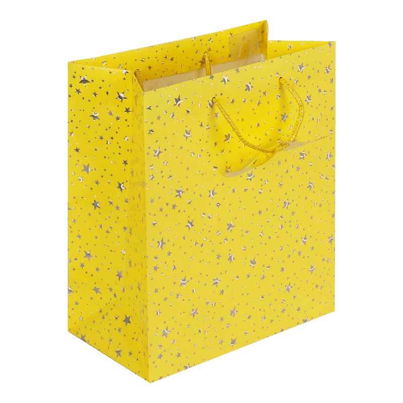 Customized Holographic Foil Shopping Paper Bag With Hook