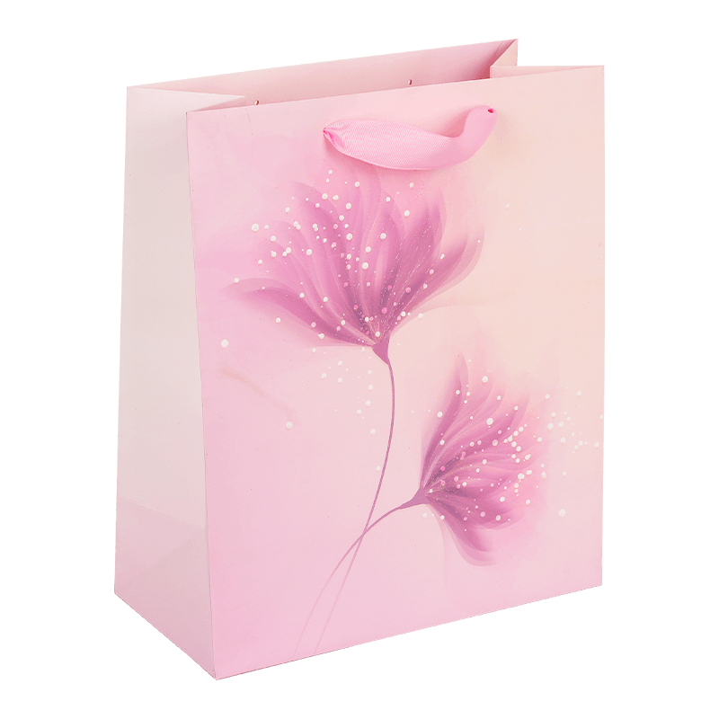 Colorful Printed Paper Shopping Bags In November 2024