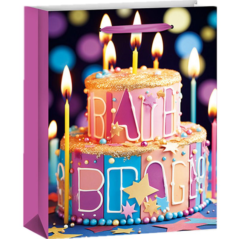 Printed Birthday Cake Gift Paper Bags